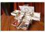 Ugears Antique Box dřevěné mechanické puzzle 3D